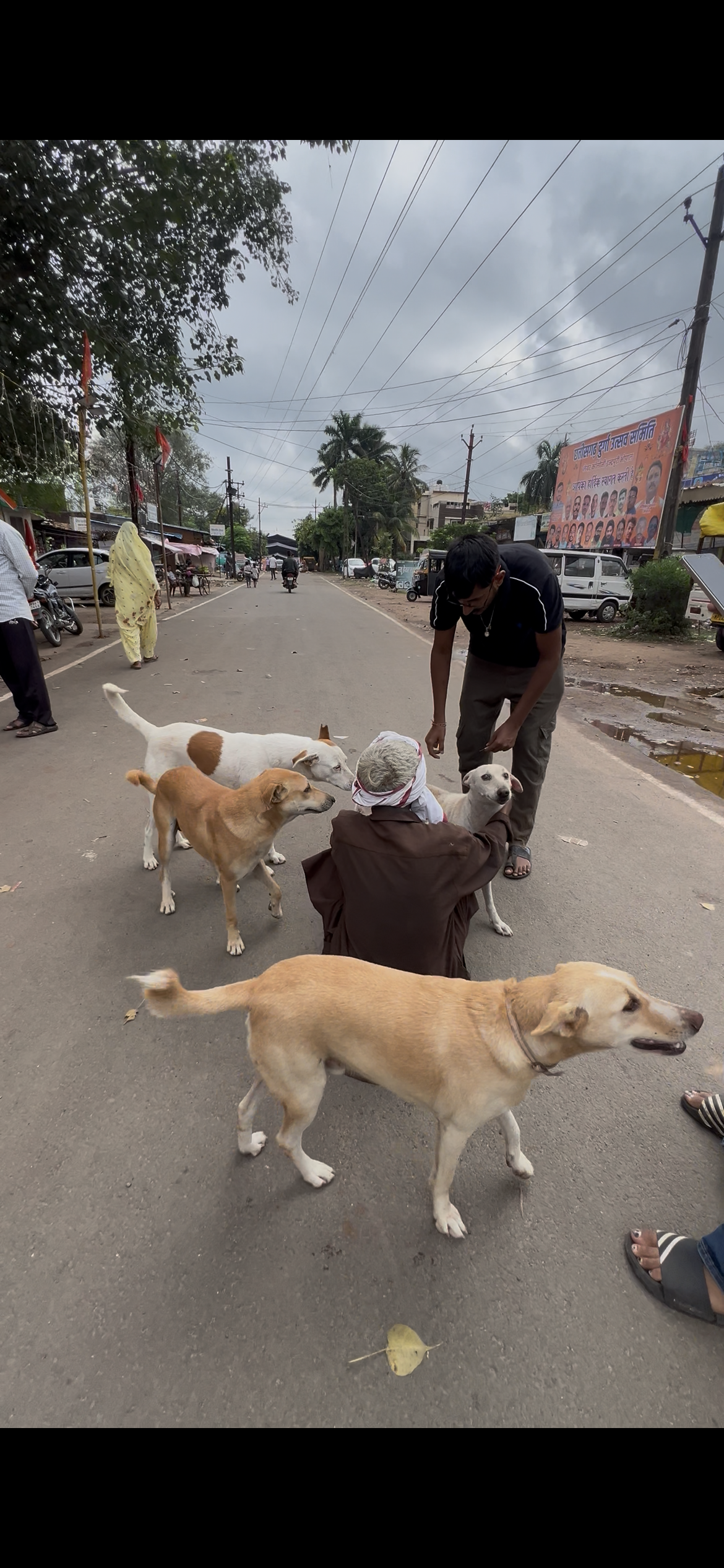 Volunteers with rescued and vaccinated dogs