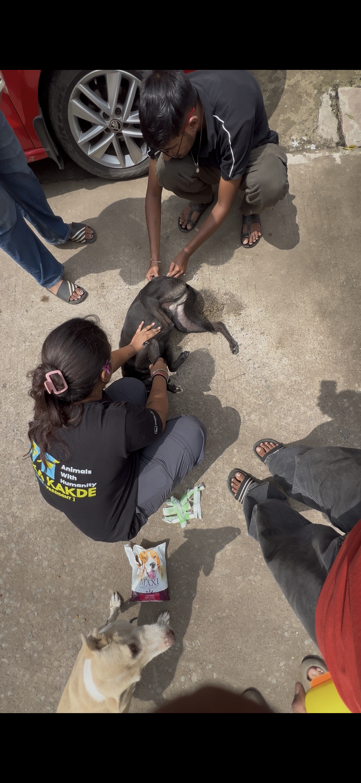 Our on-field vaccination unit at work