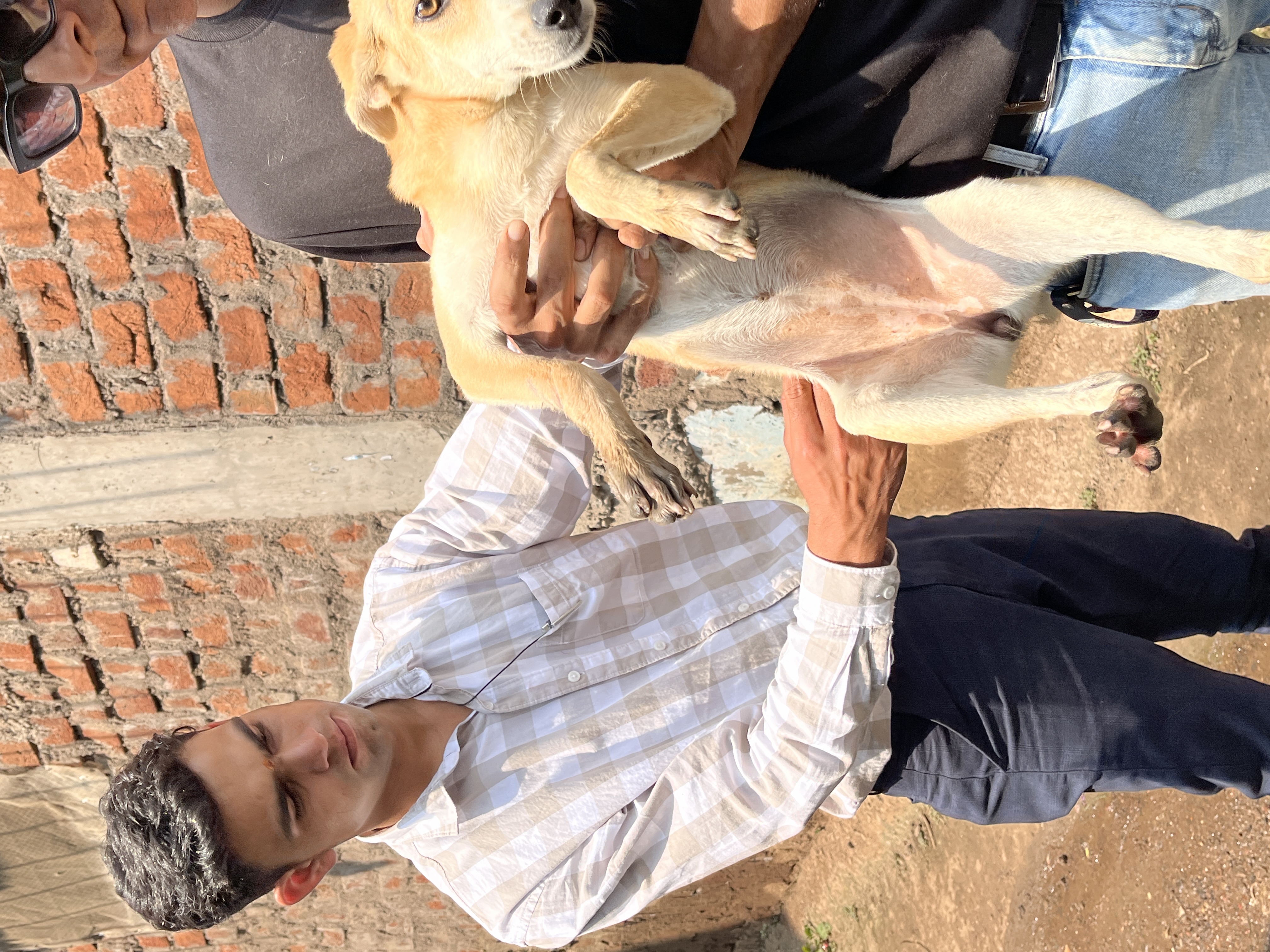 Volunteers with rescued and vaccinated dogs